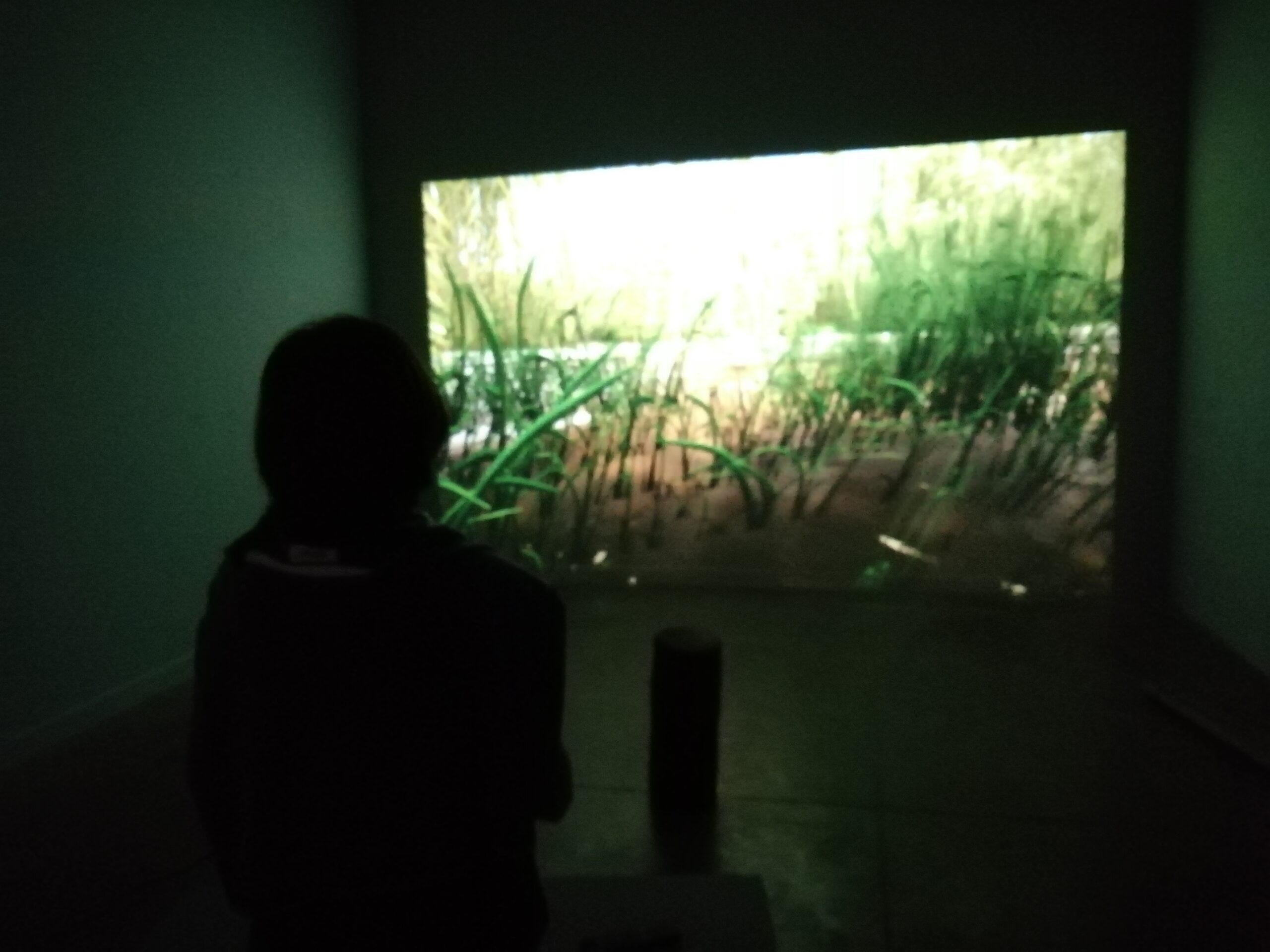 Environmental technopoetics