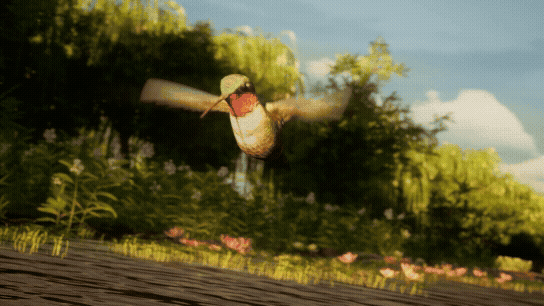 Sueño De Una Noche Litoraleña