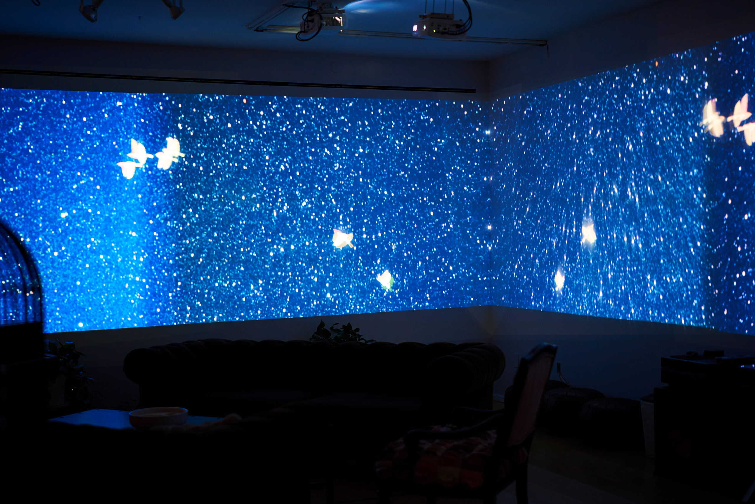 Dreamscapes: A Fusion of Digital Art and Spatial Imagination