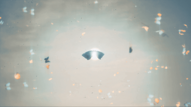 El Nacimiento De Las Mariposas