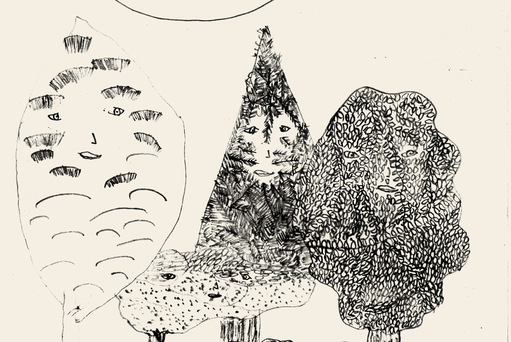 Dos arboles, un pino, un arbusto, una lago, un loto, una piedra y el sol